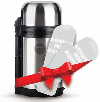 podarok-ngk-action-2014-11