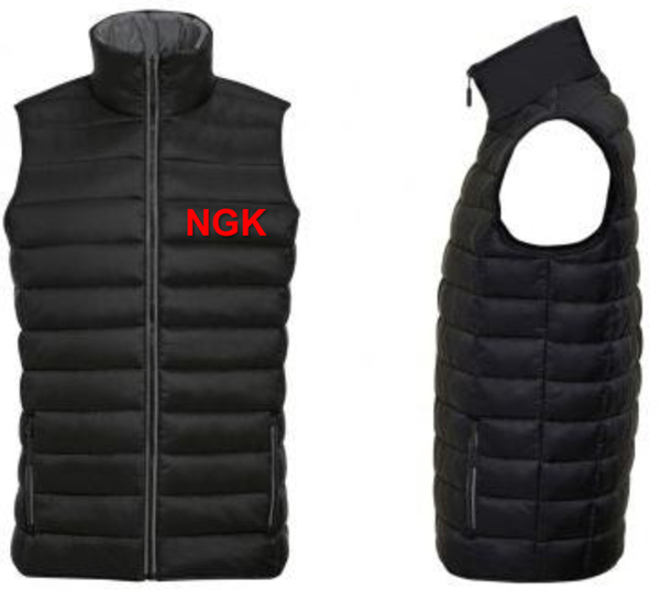 NGK NTK акция от дистрибьютора НЖК НТК призы закупка продажа розничные точки сети СТО