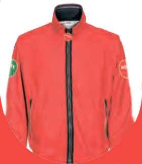 NGK NTK акция от дистрибьютора Аркона36 купить оптом приз путевка в Париж Зима близко